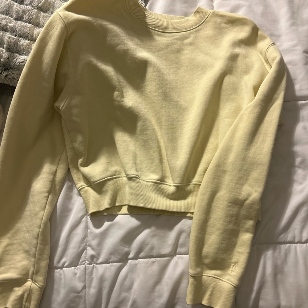 Aritzia cropped sweatshirt